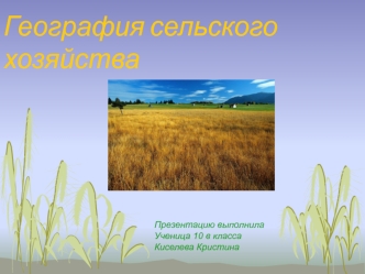 География сельского хозяйства