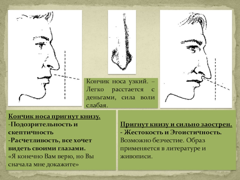 Физиогномика уши у мужчин фото и описание