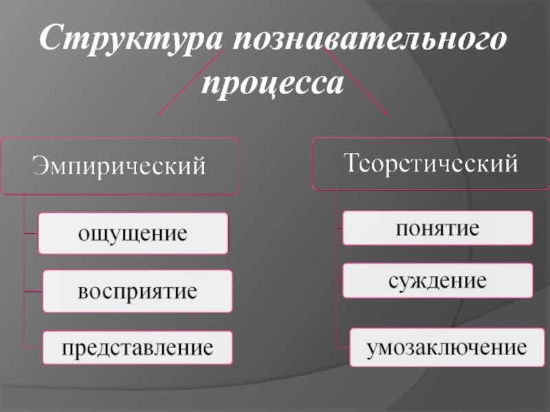 Умозаключение ощущение представление суждение. Структура познавательного процесса. Структура познавательного процесса в философии. Познание и Познавательные процессы. Понятие познания. Структура познавательного процесса..