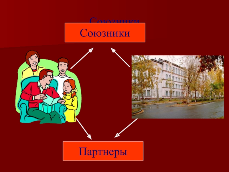 Кто такие партнеры и союзники проекта