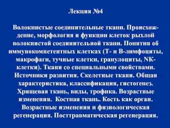 Волокнистые соединительные ткани. Происхож-дение, морфология и функции клеток рыхлой волокнистой соединительной ткани