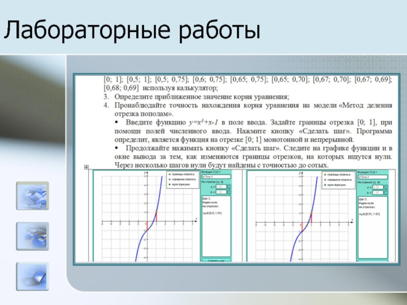 Функции окон. Как задать точность нахождения корня. Функция поля. Как находить приближенное значение корней уравнения.