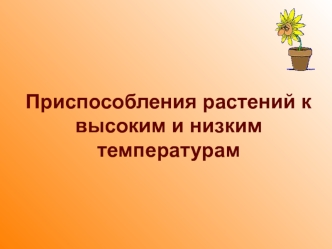 Приспособления растений к высоким и низким температурам