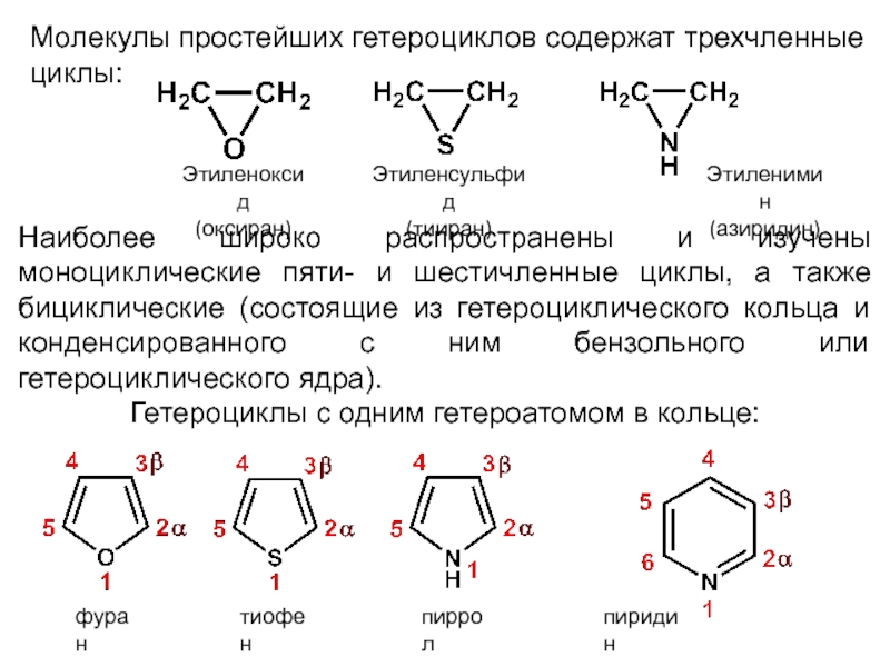 Гетероциклы никотина