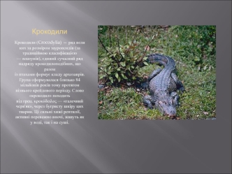 Крокодили