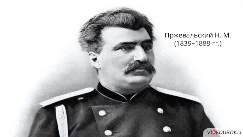 Проживальский. Николай Михайлович Пржевальский (1839—1888). Портрет Пржевальского Николая Михайловича. Портрет н м Пржевальского. Павел Пржевальский.