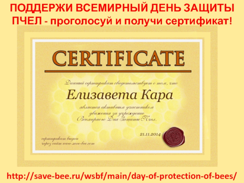 ПОДДЕРЖИ ВСЕМИРНЫЙ ДЕНЬ ЗАЩИТЫ ПЧЕЛ - проголосуй и получи сертификат!http://save-bee.ru/wsbf/main/day-of-protection-of-bees/