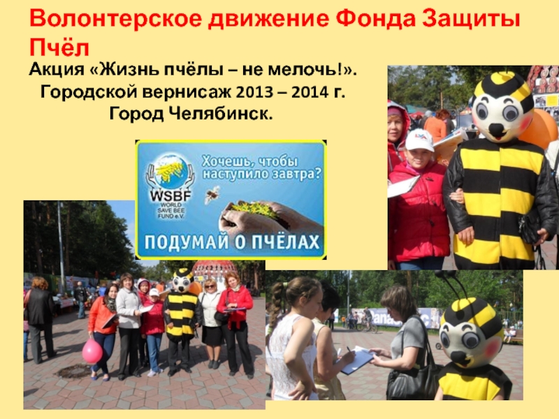Акция «Жизнь пчёлы – не мелочь!».  Городской вернисаж 2013