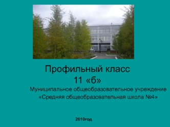 Профильный класс11 б