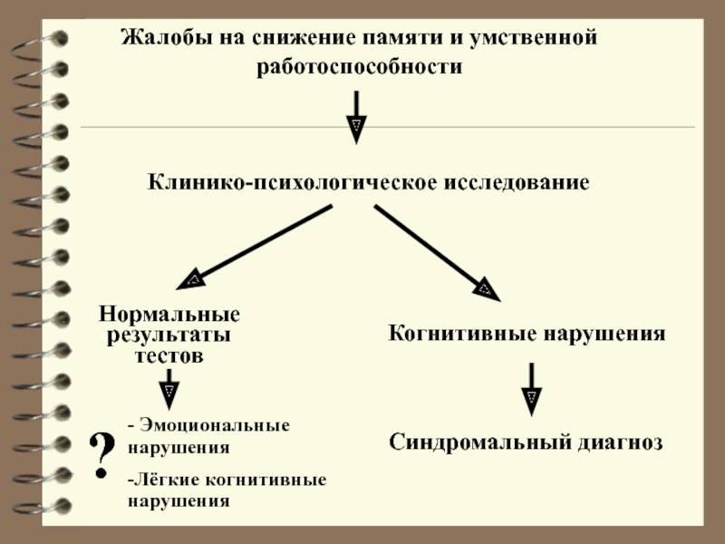 Институт когнитивных исследований