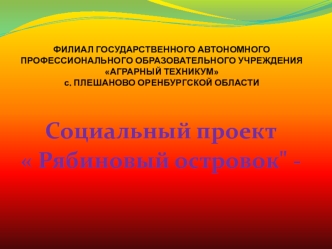 Рябиновый островок