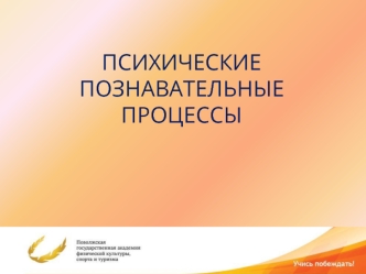 Психические познавательные процессы