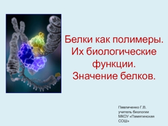 Белки как полимеры. Их биологические функции. Значение белков.