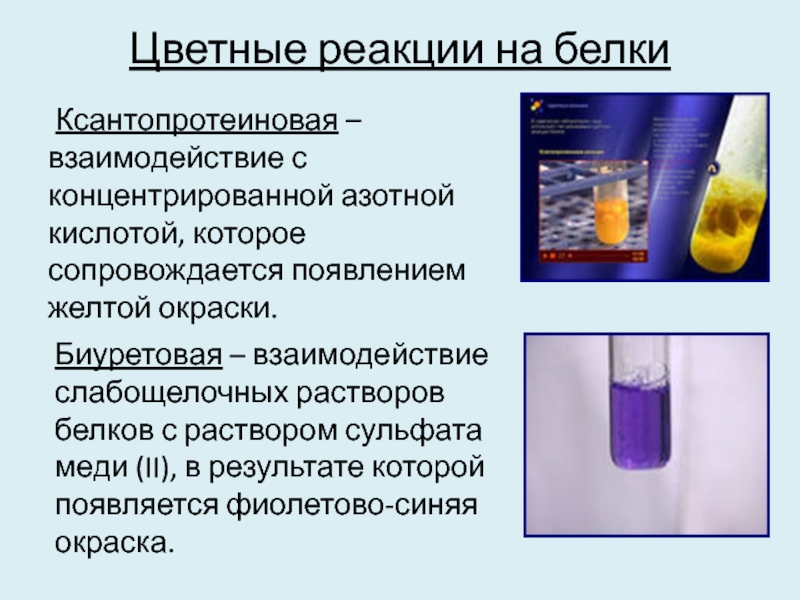 Качественные реакции на белки презентация