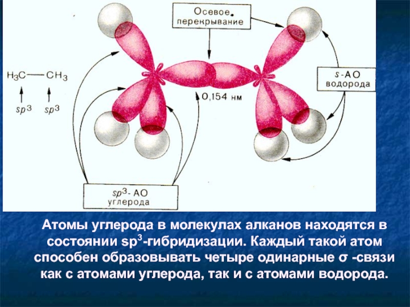 Синтез углерода. Sp3 гибридизация атома углерода. Атомы углерода находятся в состоянии sp3-гибридизации. Гибридизация атомов углерода алканов. В молекулах алканов атомы углерода находятся в состоянии.