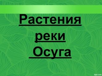 Растения реки Осуги