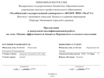 Оценка эффективности бюджета Норкинского сельского поселения