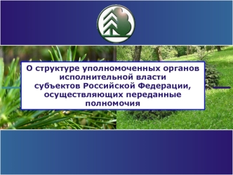О структуре уполномоченных органов исполнительной власти                субъектов Российской Федерации, осуществляющих переданные полномочия