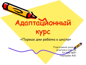 Адаптационный курс