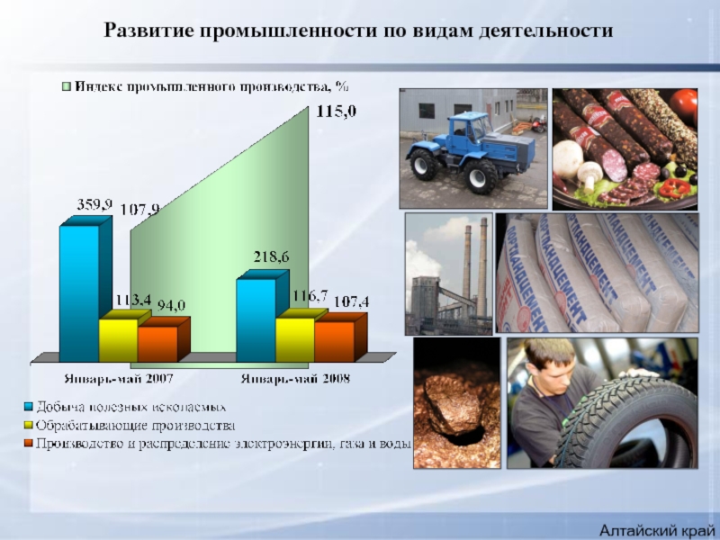 Отрасли промышленного производства. Промышленность Алтайского края презентация. Отрасли промышленности Алтайского края. Экономика промышленности Алтайского края. Виды промышленности Алтайского края.