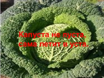 Капуста не пуста,
 сама летит в уста.