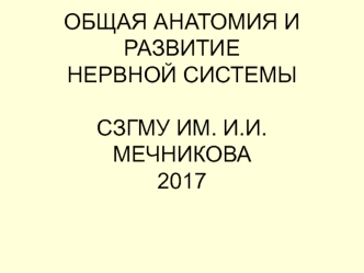 Функции нервной системы