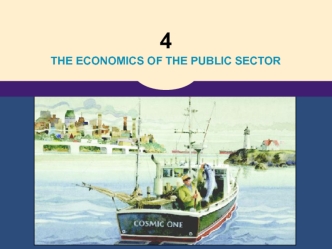 The economics of the public sector. (Lecture 4)