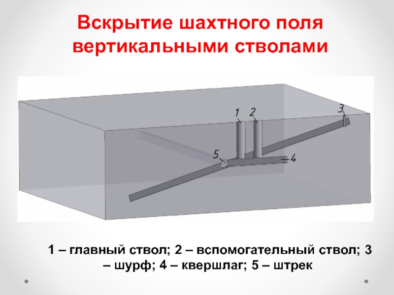 Схема вскрытия шахтного поля вертикальными стволами