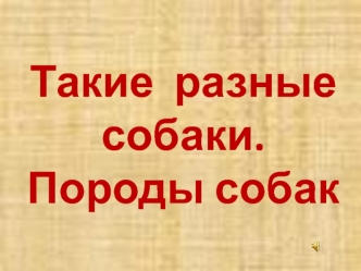 Такие разные собаки. Породы собак