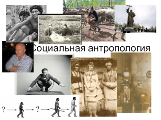 Социальная антропология