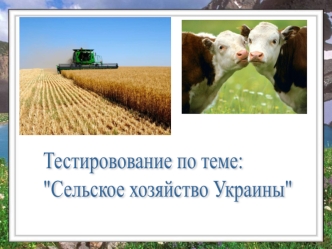 Тестировование по теме:
