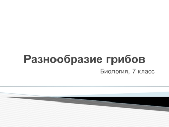 Разнообразие грибов