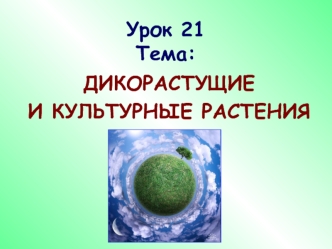 Урок 21Тема: