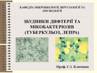 Збудники дифтерії та мікобактеріозів (туберкульоз, лепра)