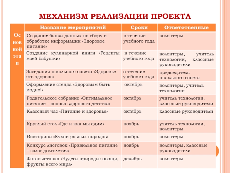 Механизм реализации социального проекта