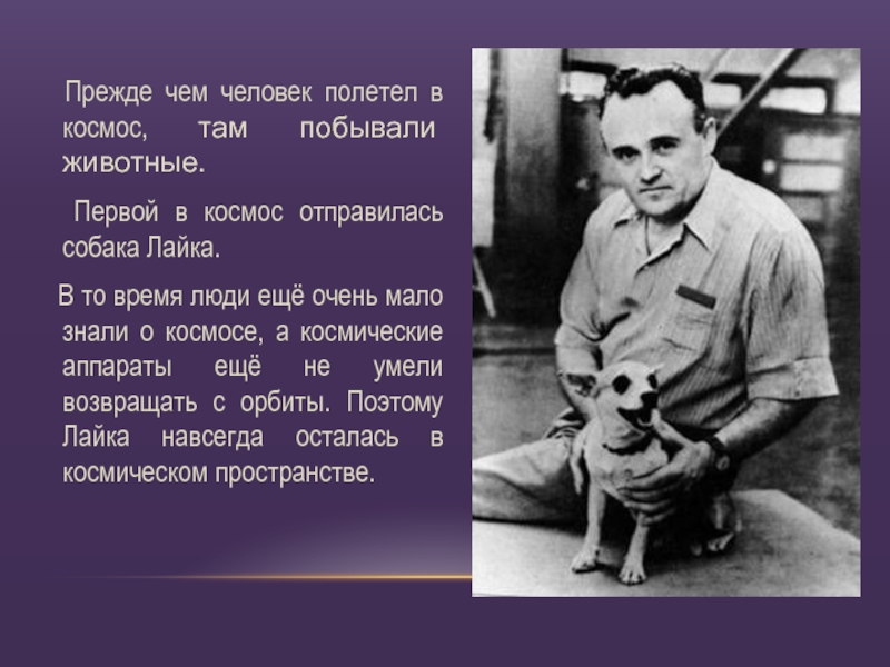 Кто последний полетел в космос. Первое животное полетевшее в космос. 1 Человек полетевший в космос. Первой в космос отправилась собака лайка. Кто впервые полетел в космос.