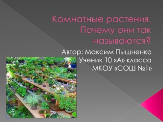 Автор: Максим Пышненко
Ученик 10 А класса
МКОУ СОШ №1