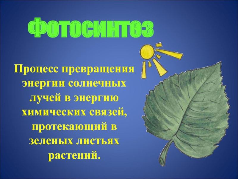 Превращение солнечной энергии в химическую энергию. Эксперимент превращение солнечной энергии в химическую энергию. Как растения используют энергию солнечных лучей. Лист растения рисунок. Солнечная энергия превращается в энергию химических связей.