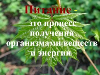Питание -