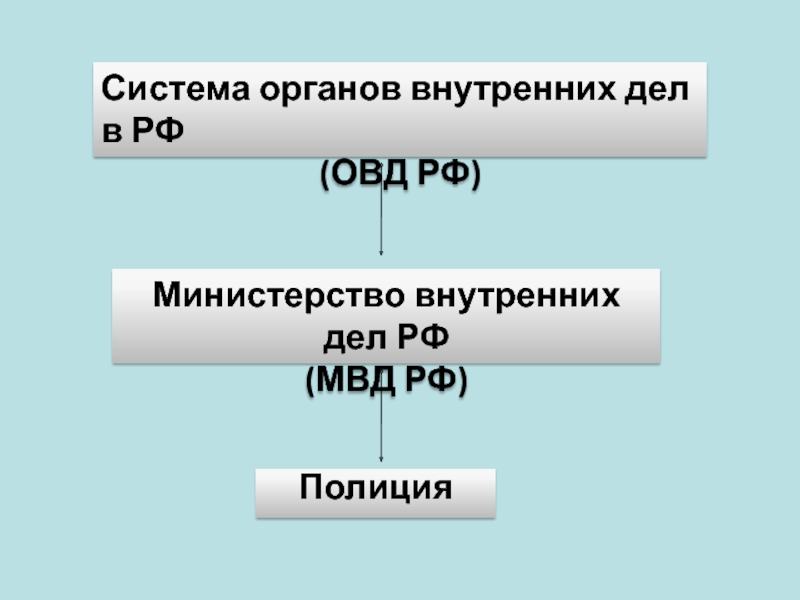 Схема системы органов внутренних дел