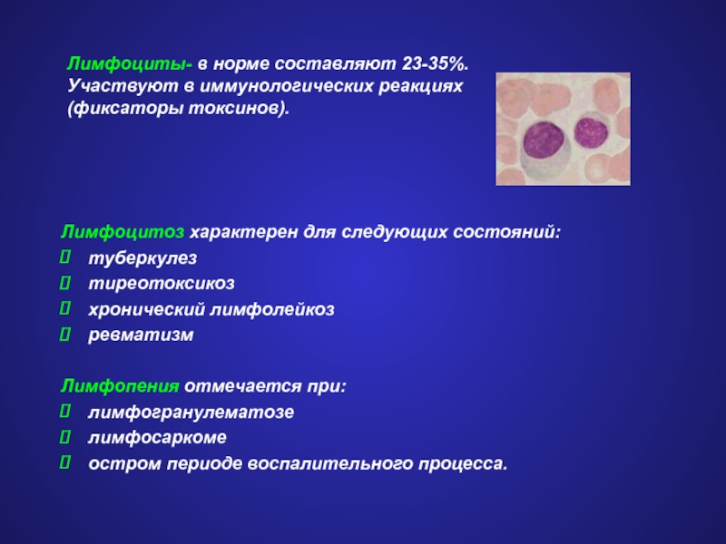 Что такое лимфоцитоз