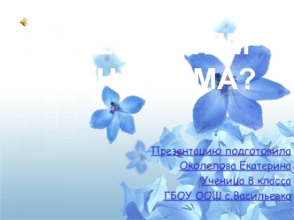 Презентацию подготовила
Околелова Екатерина
Ученица 8 класса 
ГБОУ ООШ с.Васильевка