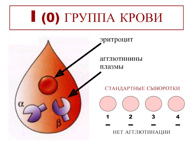 Плазма 1 группы крови
