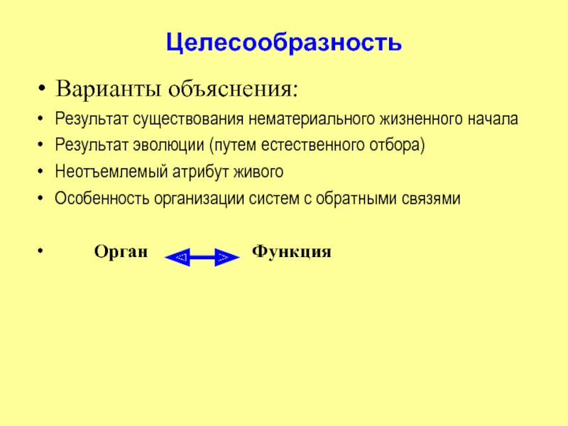 Итоги презентации sony