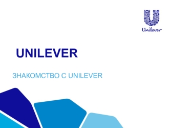 Продукция Unilever. Глобальные бренды: Knorr, Lipton и Hellmann’s