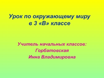 Урок по окружающему мирув 3 В классе