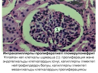 Ісік жасушаларын зерттеу