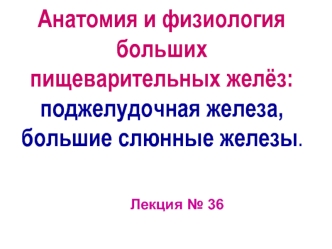 Анатомия и физиология больших пищеварительных желёз: поджелудочная железа, большие слюнные железы