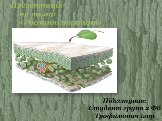 Рослинні тканини