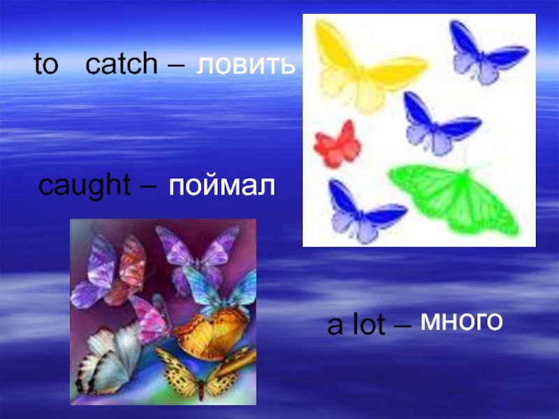 Butterfly Butterfly where do you Fly so. Butterfly where do you Fly стих. Butterfly Butterfly where do you Fly песня. Butterfly when do you Fly стих на английском. Catch поймать